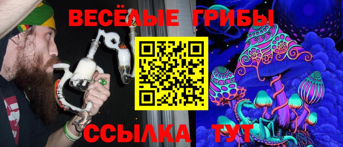 Сургут  Псилоцибиновые грибы GOLDEN TEACHER  Вход с VPN 