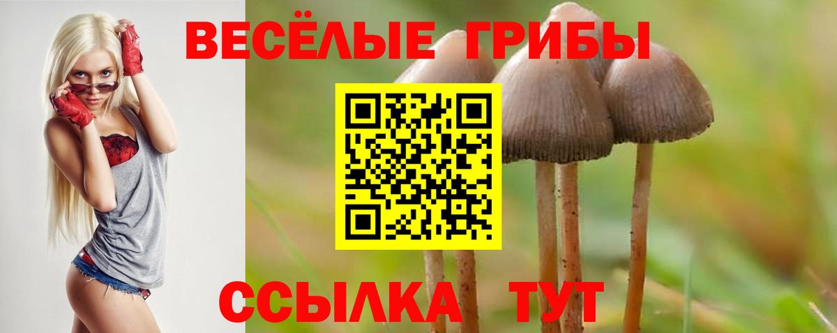 Галлюциногенные грибы ЛСД Сургут